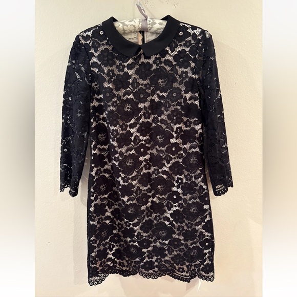 Ted Baker Women Black Ameera Scallop Hem Lace Dress Peter Pan Collar US Size 10 - Picture 7 of 10